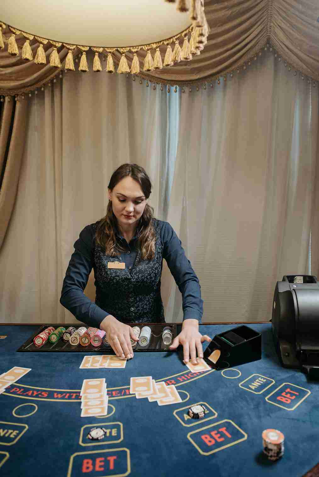 rabbit win casino